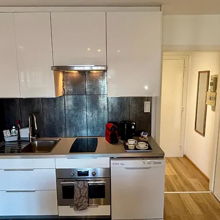 Apartman 8th Floor With 2 Balconies Strasbourg