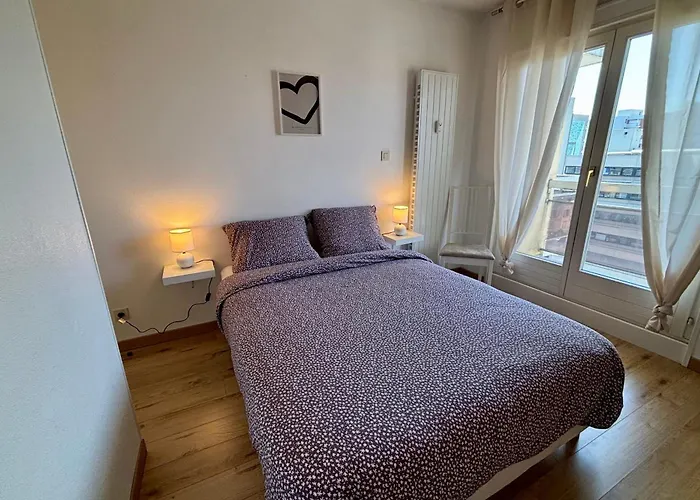 Apartment 8th Floor With 2 Balconies Strasbourg