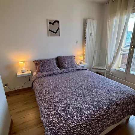 Apartment 8th Floor With 2 Balconies Straßburg